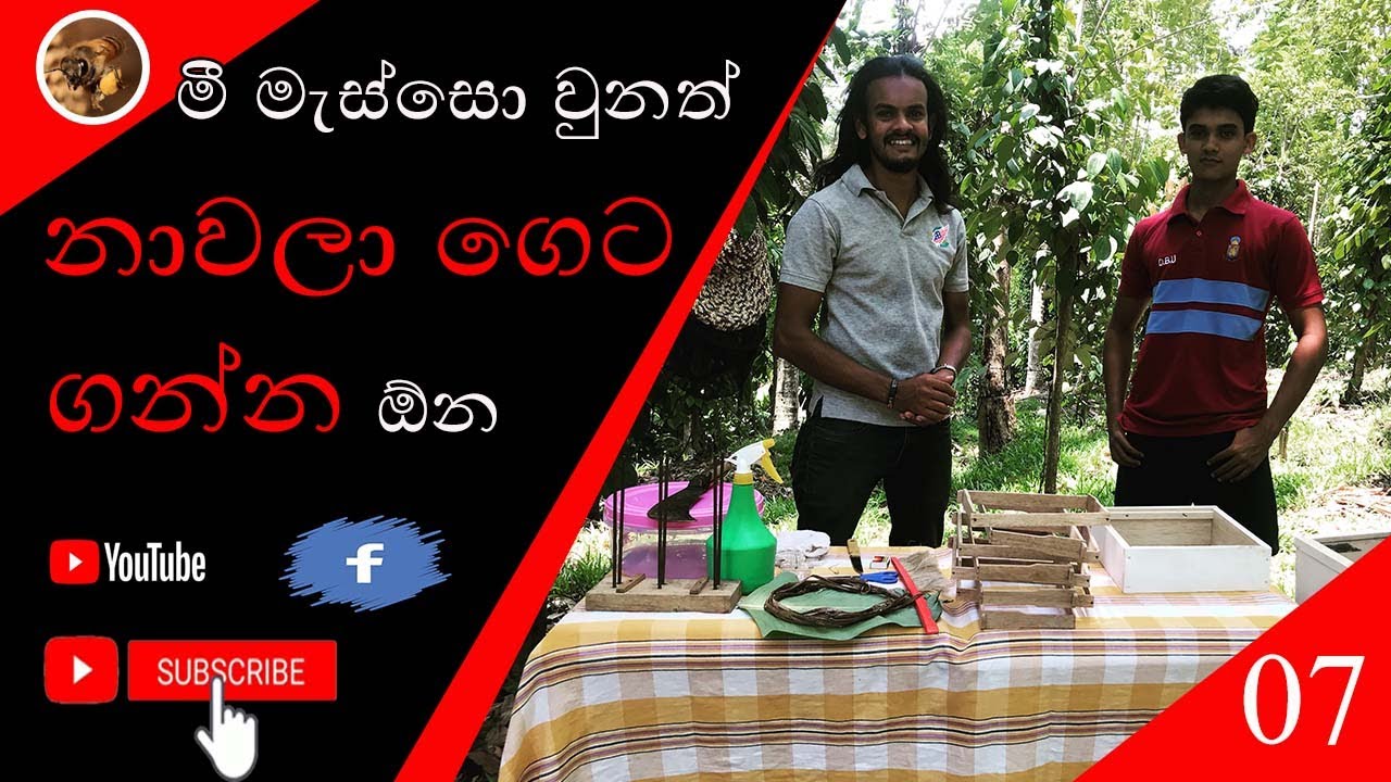 මී මැස්සො වුනත් නාවලා ගෙට ගන්න ඕන