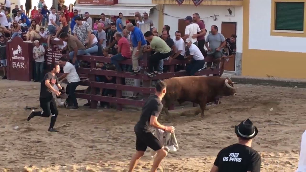 Largada de Toiros (Mulher Colhida) Samora Correia 1º dia