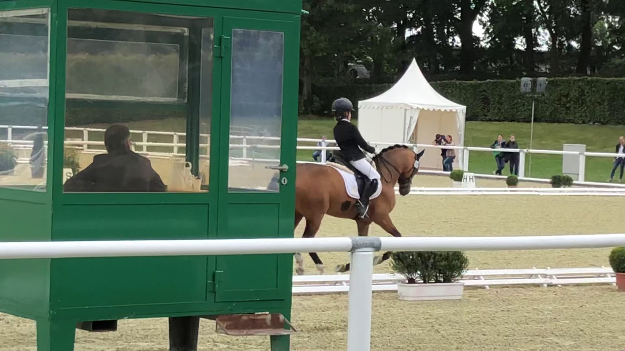 Coer Noble - Bundeschampionate 2018, 5-j Ponys