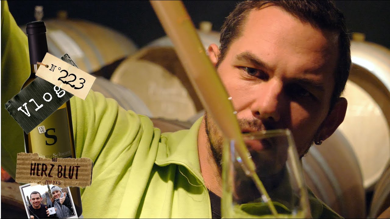 Intensives Weinprobieren, mit viel Hintergrund wissen | So wird Wein gemacht #5 | Weinvlog # 223