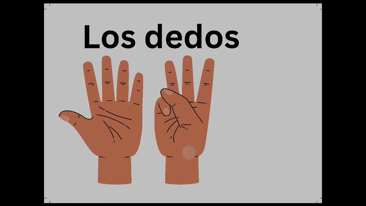 Baby parts in spanish 