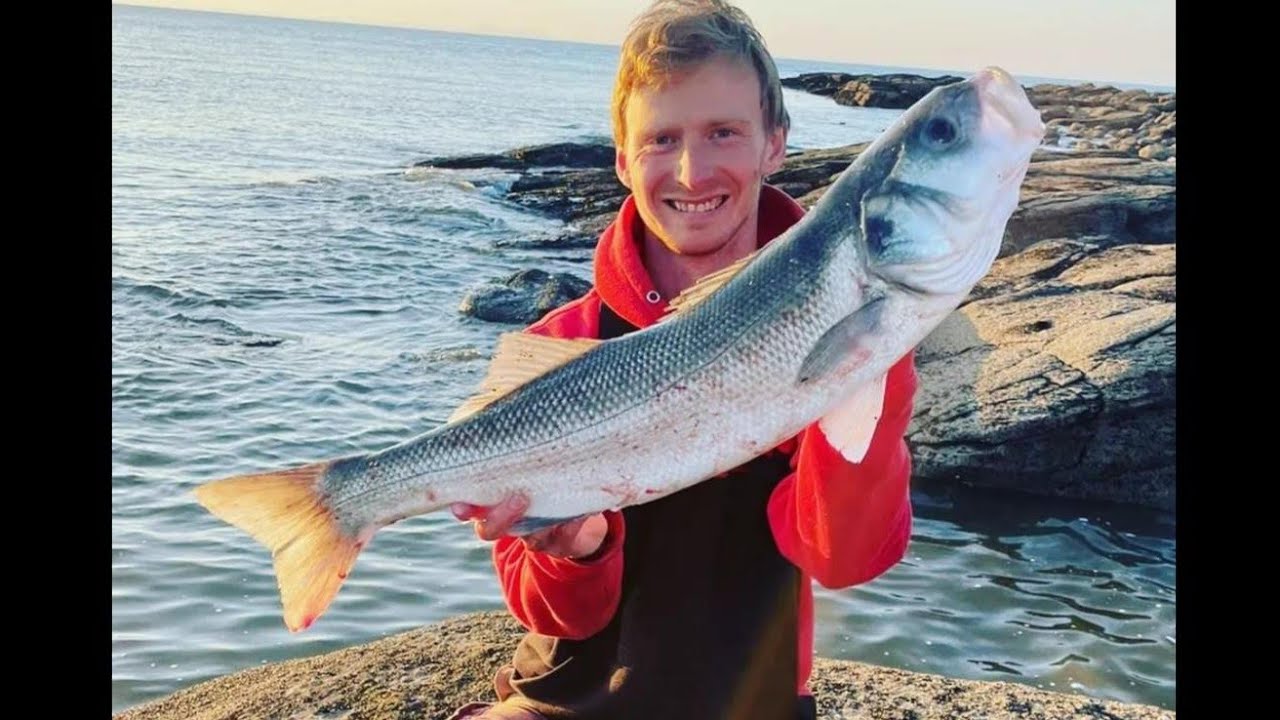 massive bass last cast!!!
