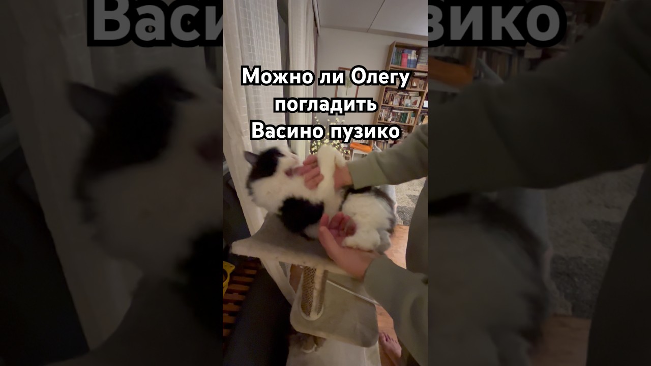 Пузо, хвост и попа - три столпа 