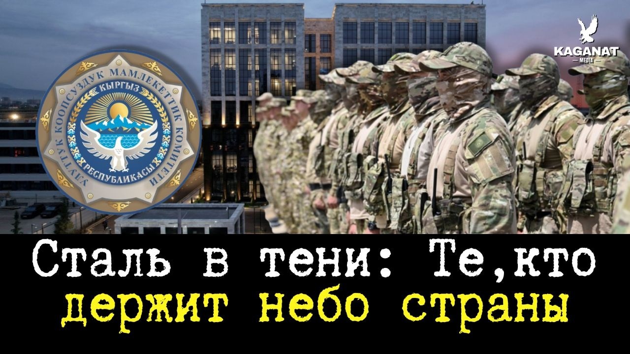 Щит государства: Между критикой и невидимой войной