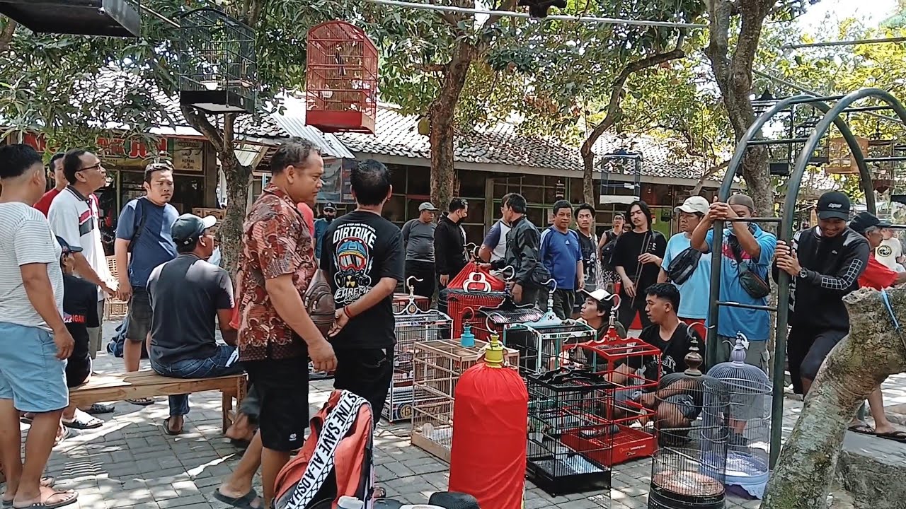 Explore Pasar PASTY Jogja, Zona Hewan dan Ikan