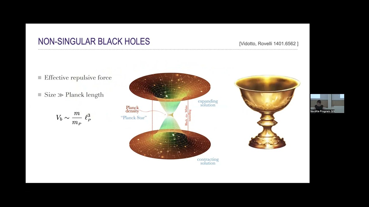 Francesca Vidotto - The quantum life of primordial black holes as dark matter