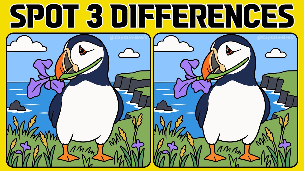 Give Your Eyes and Brain a Fun Little Spot the Difference Challenge (Normal)