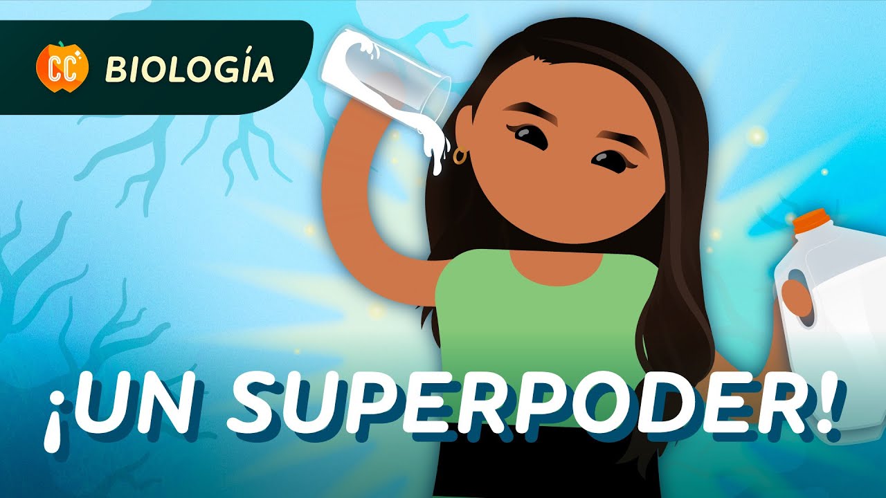&iquest;Beber leche es un superpoder? (Mutaciones): Crash Course Biolog&iacute;a #37