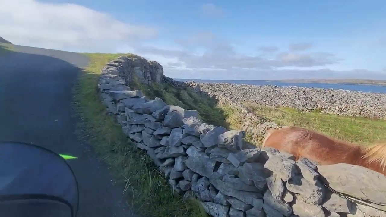 1. Fáilte chuig Plé agus Spraoi! 