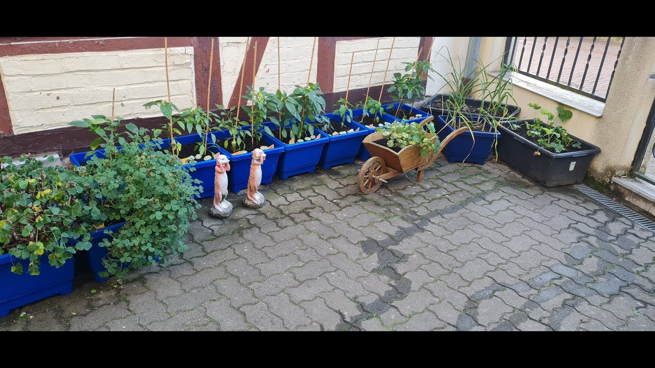 # 145a Hofrundgang Ende Juni ´25