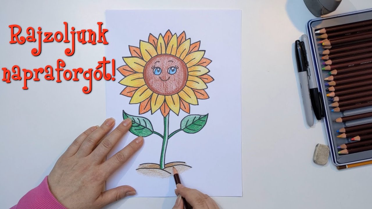 Rajzoljunk napraforgót! (Gyerekeknek)