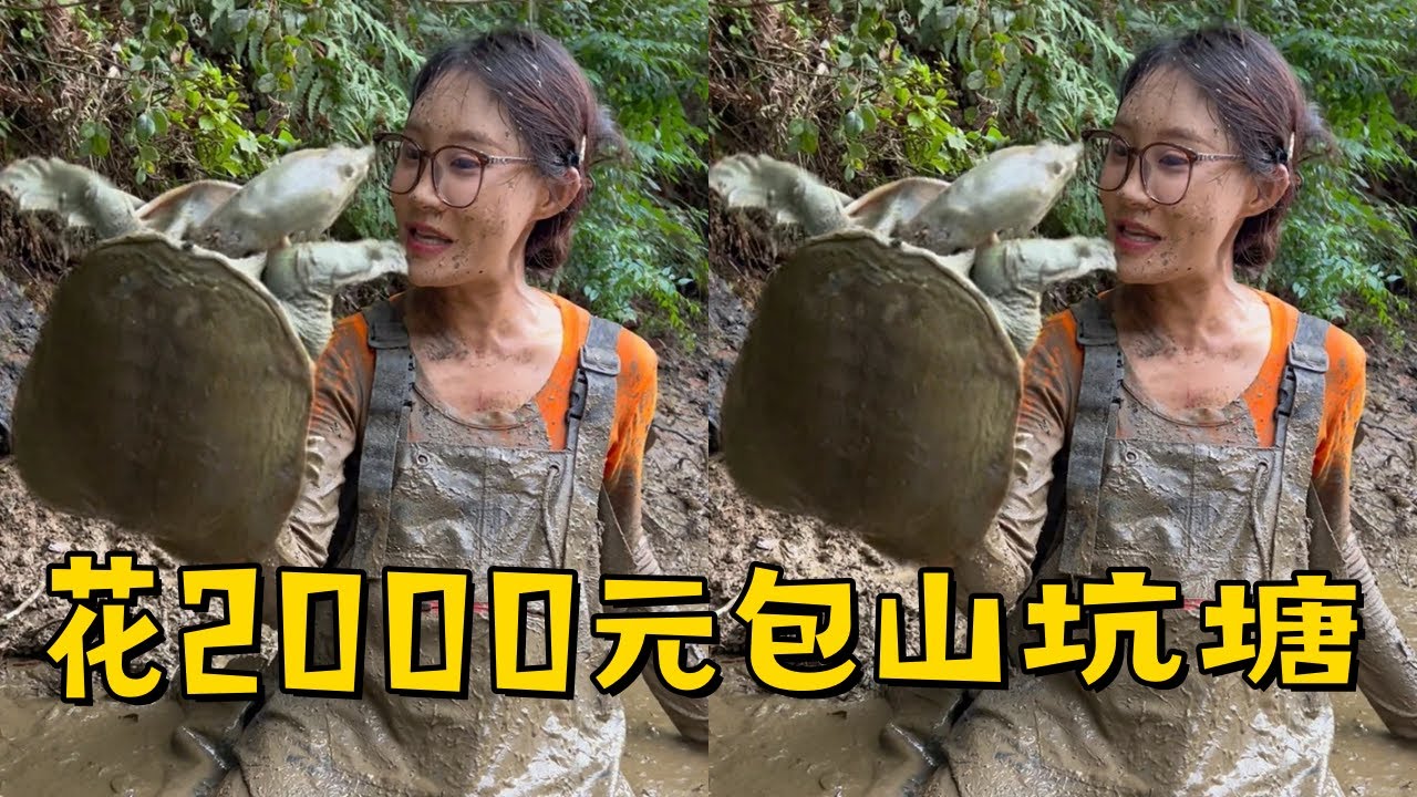 爷爷家山坑塘出现未知吃鱼生物，小姨子花2000元包下看看究竟是啥？