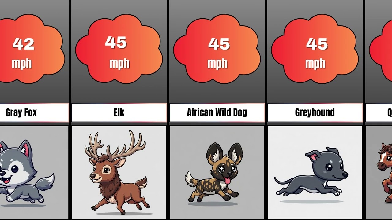 Fastest Animal on Earth Revealed ⚡🦅 #Animals #Speed #Nature