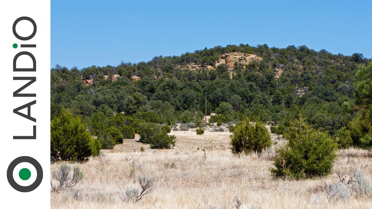 SOLD • Land in New Mexico • 6.51 Acre Homesite with Electricity & Road Frontage