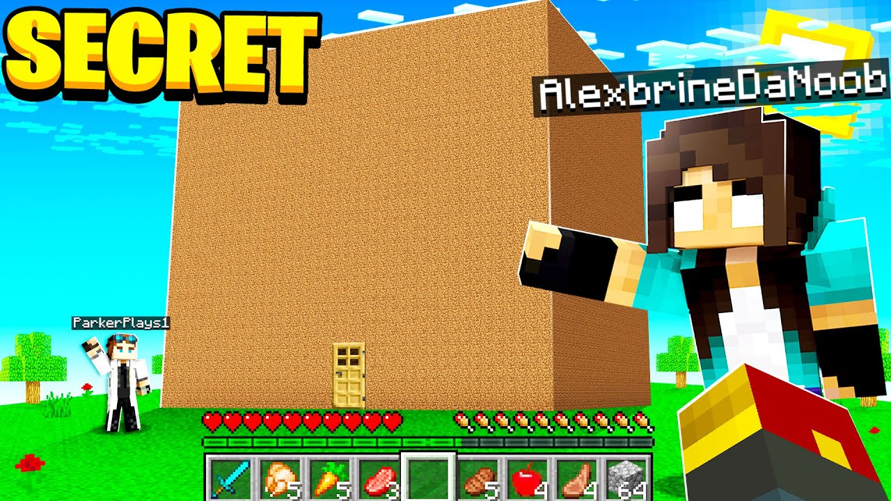 noob Girl lives inside One GIANT Minecraft Dirt Block