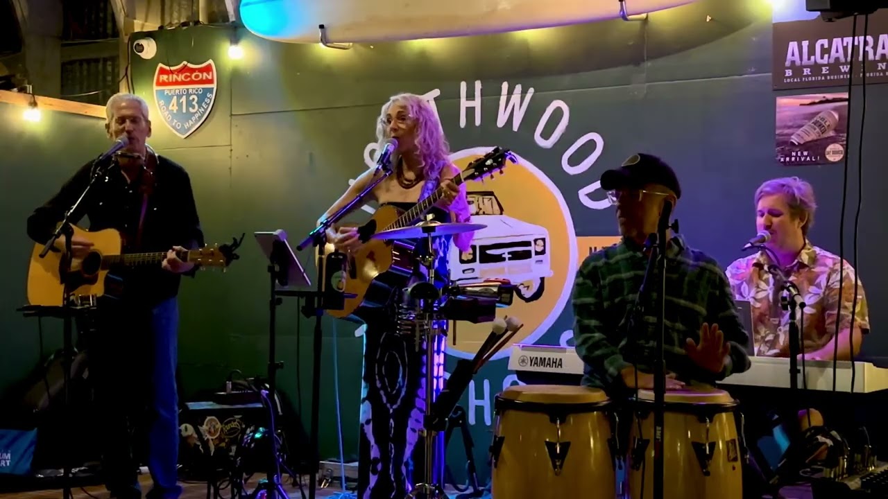 Wasted on the Way - Crosby, Stills & Nash (Soulshine Live Cover)