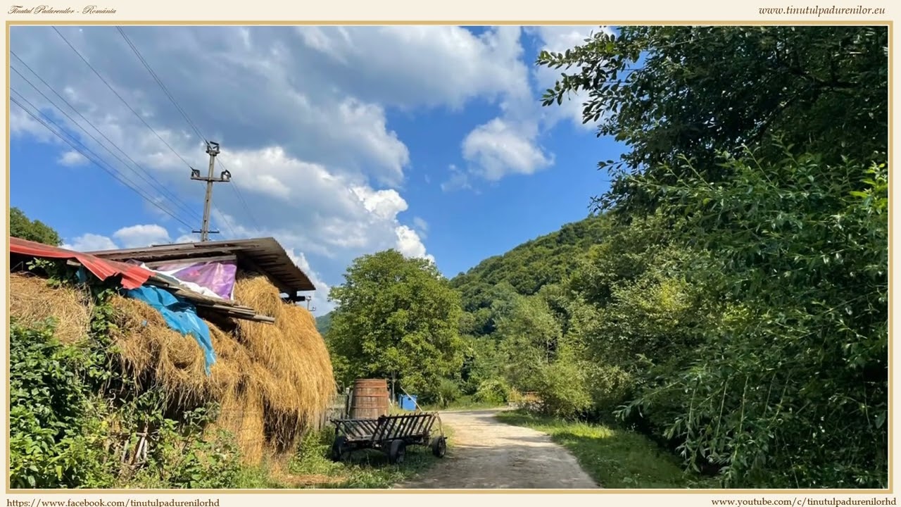 Comuna Toplița - localități din TinutulPadurenilor - episodul 6