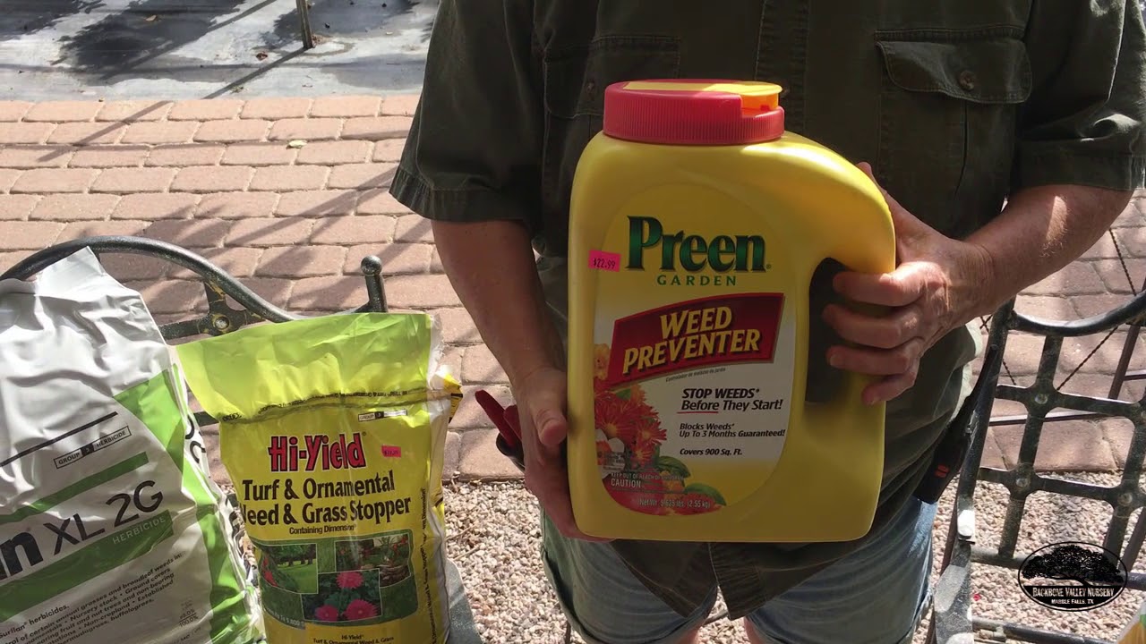 How to Prevent Weeds in Your Yard