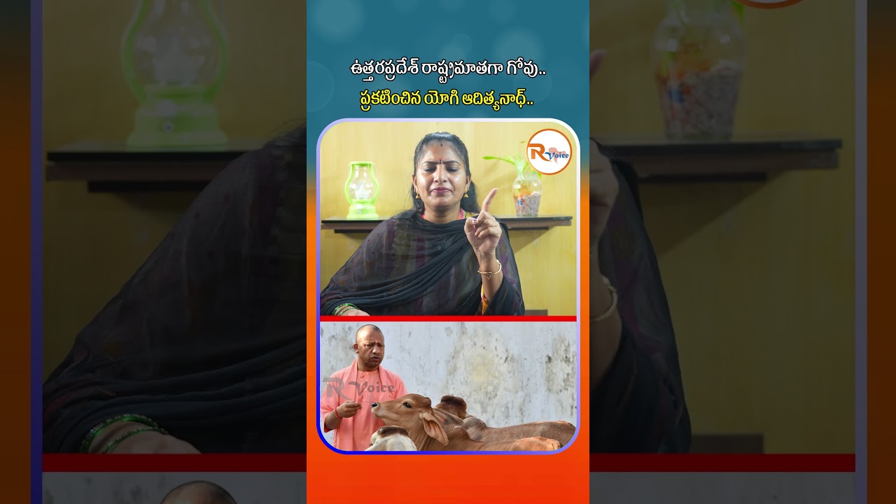 ఉత్తరప్రదేశ్ రాష్ట్రమాతగా గోవు.. ప్రకటించిన యోగి ఆదిత్యనాధ్ || Cow is UP's 'Rashtra Mata' | Yogi