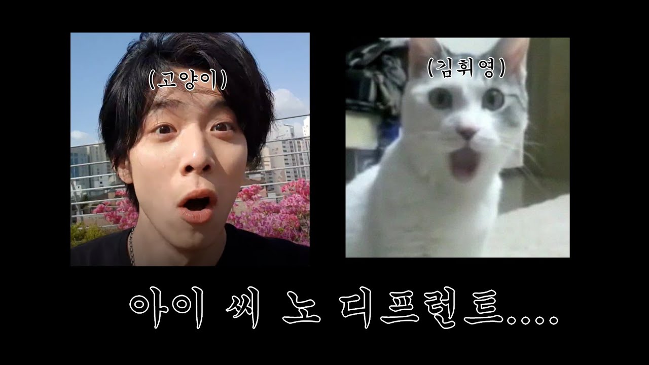 [SF9] 힙캥이 귀여움 최대치 찍었던 날