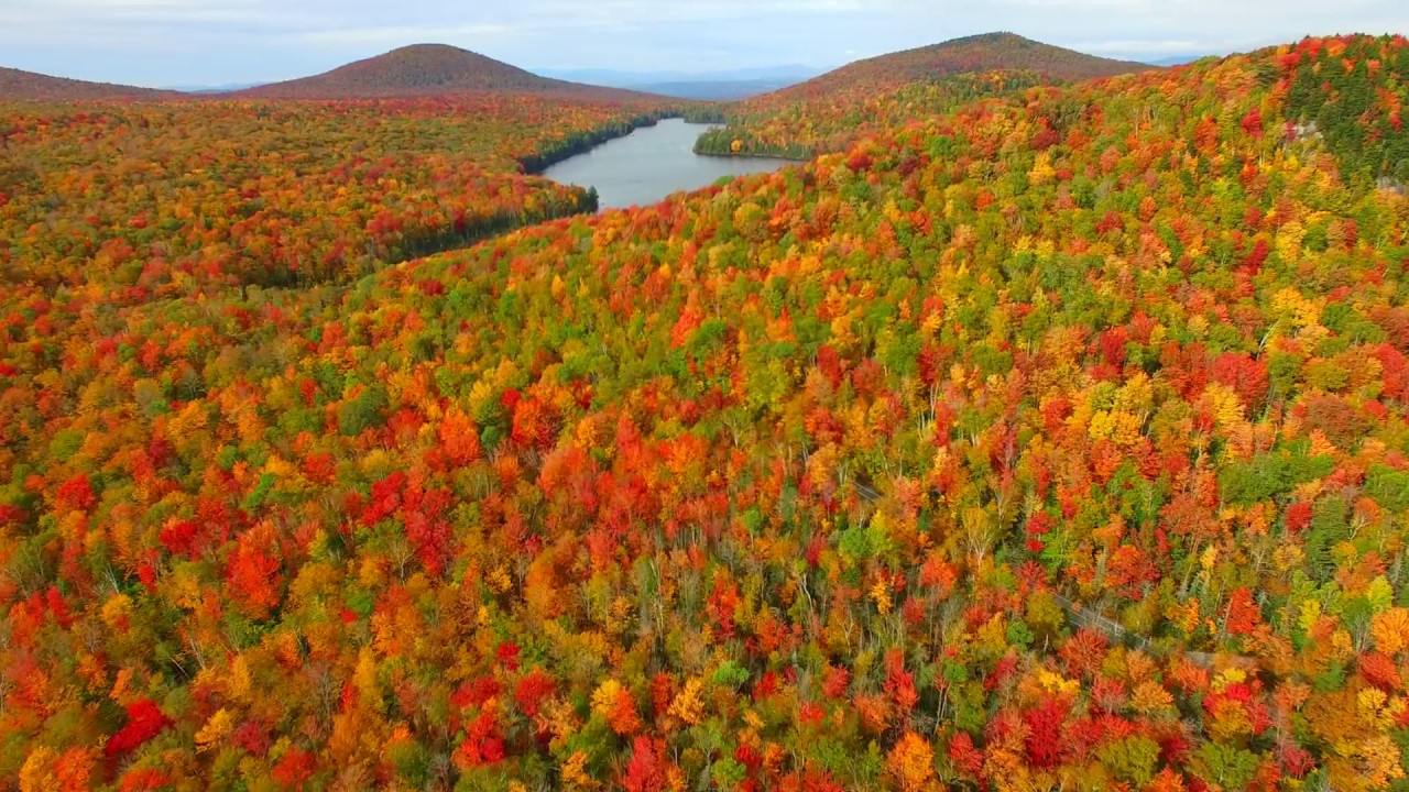 This is Fall Foliage in Groton Vermont - October 8th - Green Mountain Drone