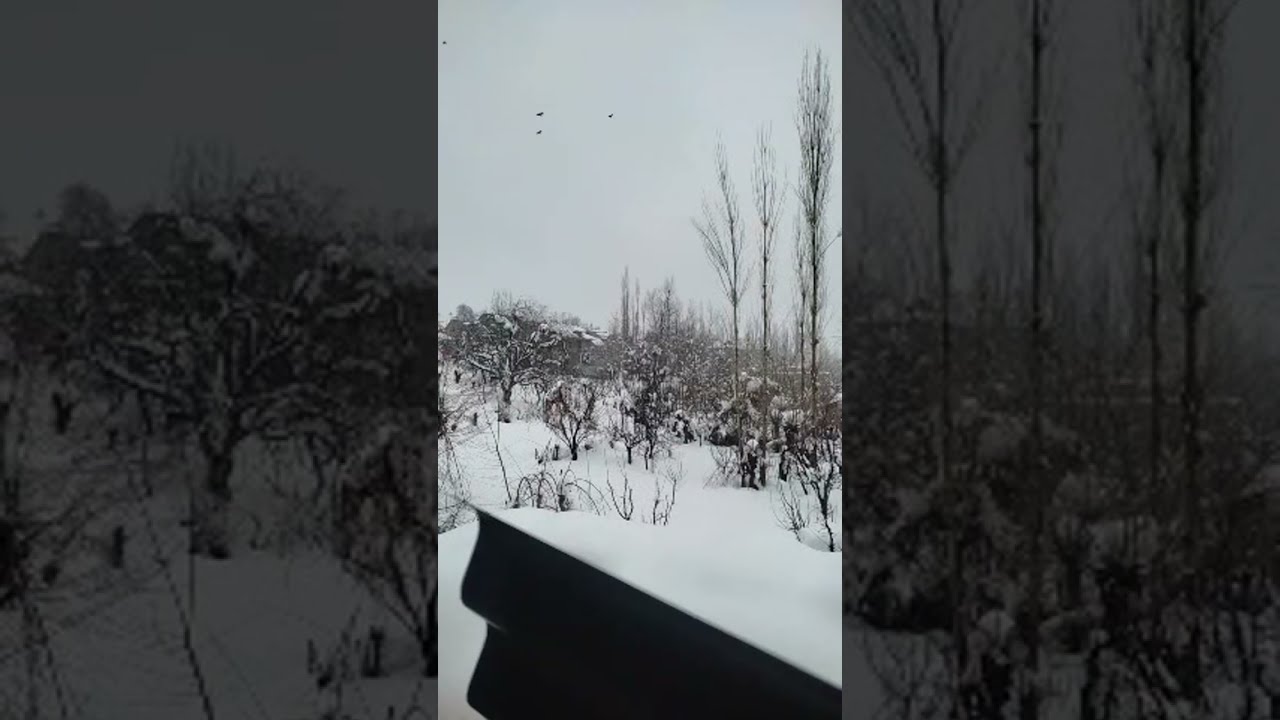 Hello everyone welcome to my live stream enjoy in snowfall 😎