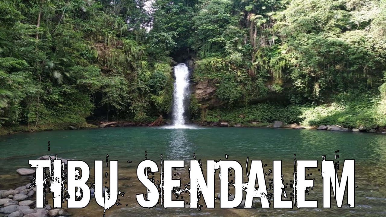 Tibu Sedalem Surga Tersembunyi di Hutan Belantara Lombok Barat