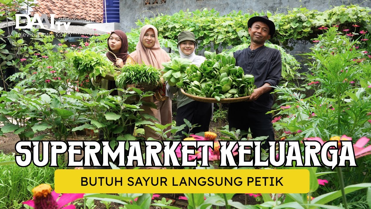 Kebun Dapur Keluarga! Butuh Sayur Tinggal Petik!
