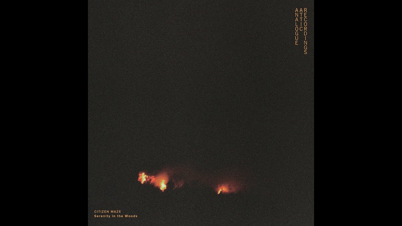 Citizen Maze - Serenity In The Woods (2018) [Continuously Mixed]