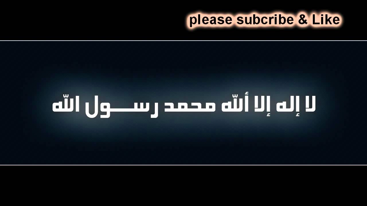 حياة القلوب محاضرة مؤثرة ومفيدة للشيخ صالح المغامسي