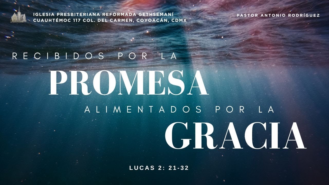 Recibidos por la promesa, alimentados por la gracia| Lucas 2:21-32| Pastor Antonio Rodríguez