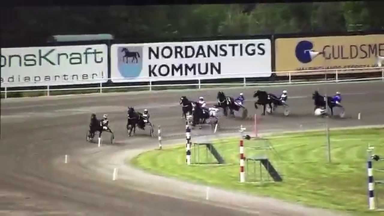 Lannem Silje på Hagmyren 19.06.15