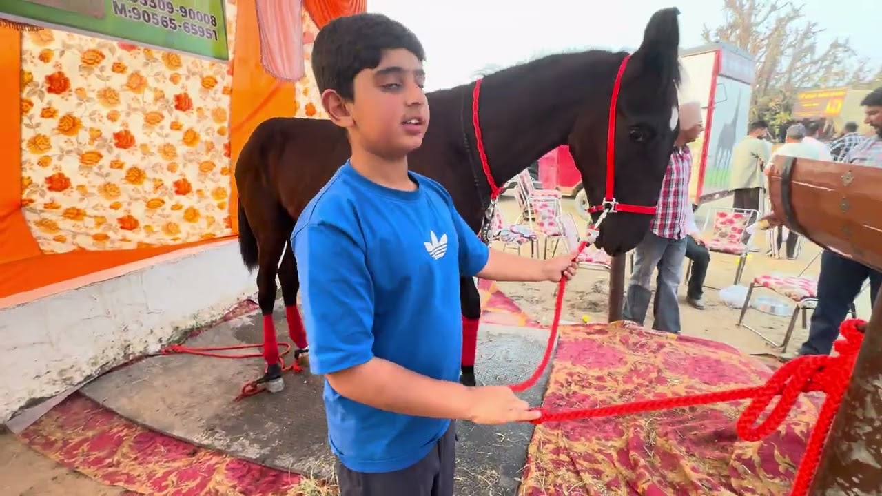 Roshni Da Mela Jagraon #punjabi #lifeisbutadream #farming #whowillbemylifepartnerta #reels 