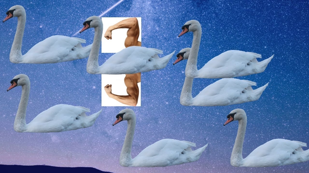 THE SWAN DID A HEADSTAND | Break Even Brothers Episode #6