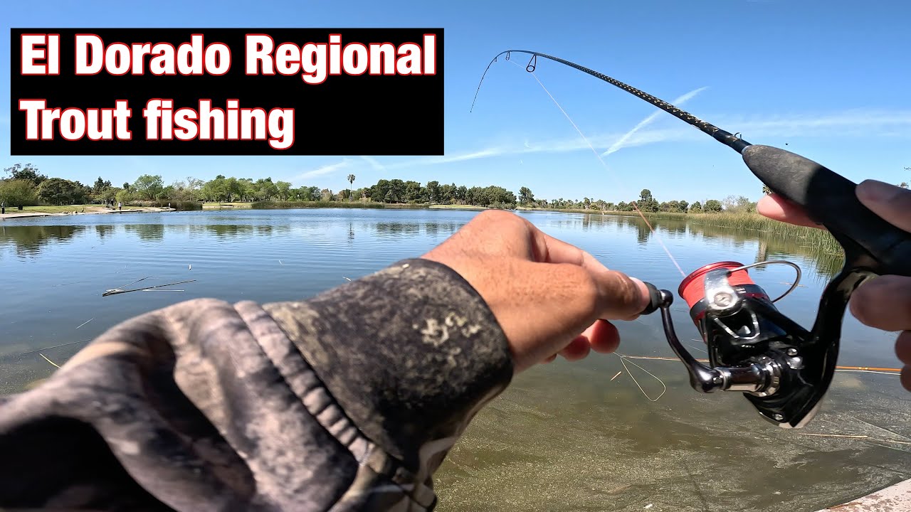 El Dorado Rainbow Trout Fishing