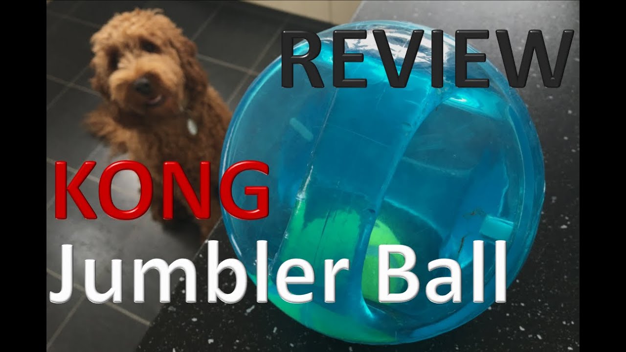 KONG - Jumbler Ball (Dog Toy Review)