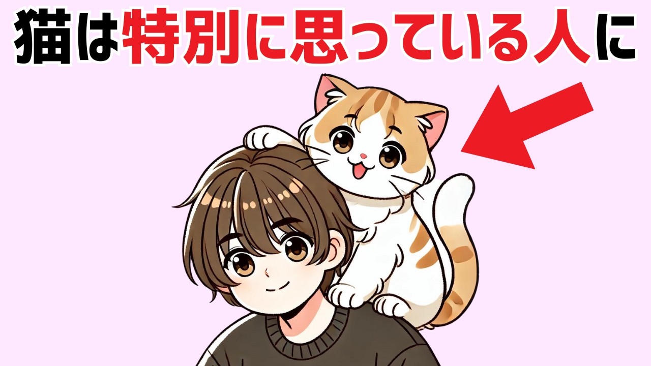 猫好き必見【猫の豆知識30選】ネコの不思議な行動・仕草の秘密 