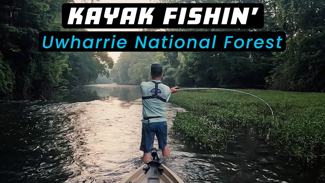 TECHNICAL BASS FISHING | Smallmouth LOVE This Bug Lure! | Uwharrie River, North Carolina