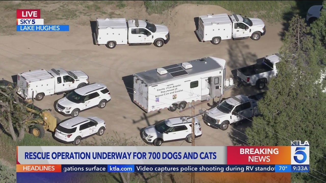 Historic animal rescue underway in L.A. County