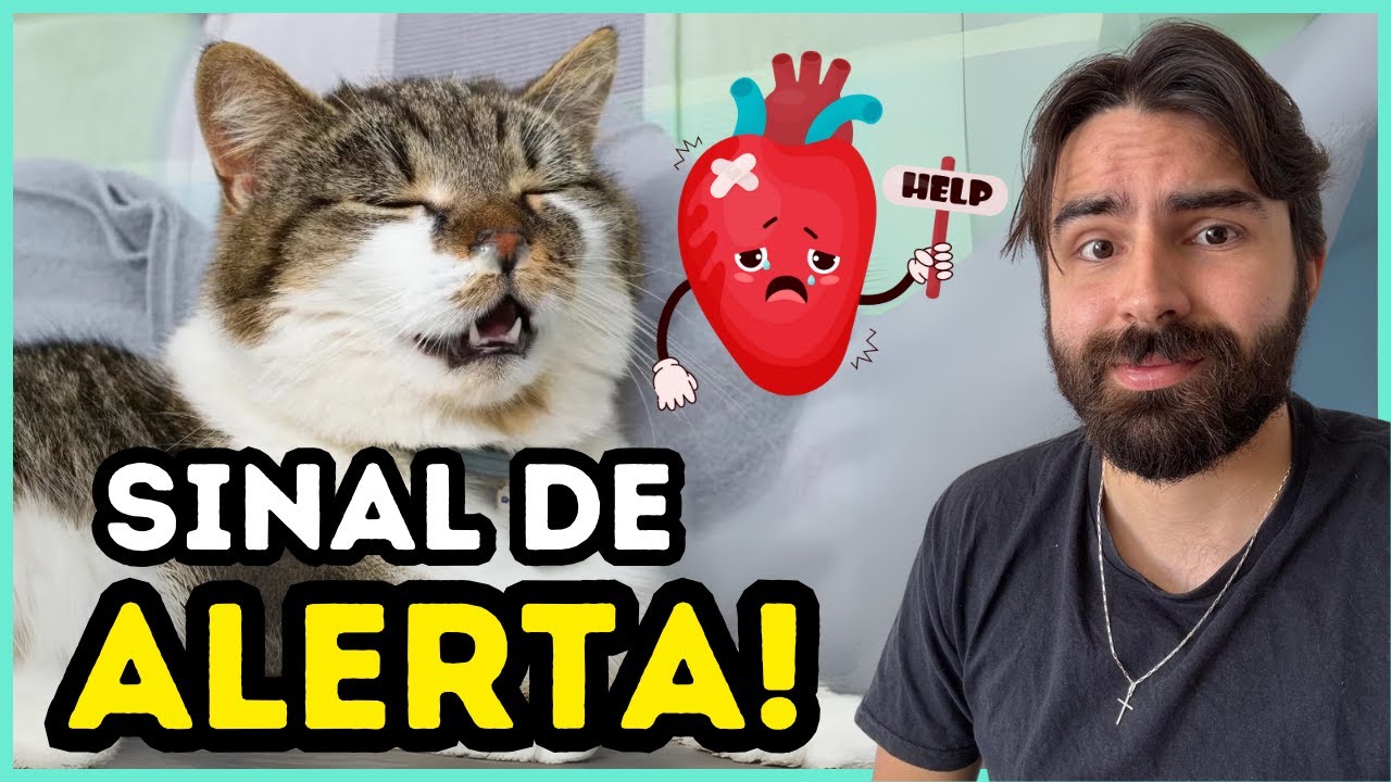 Se Seu Gato Estiver ASSIM, Ele Tem Problema No CORAÇÃO!