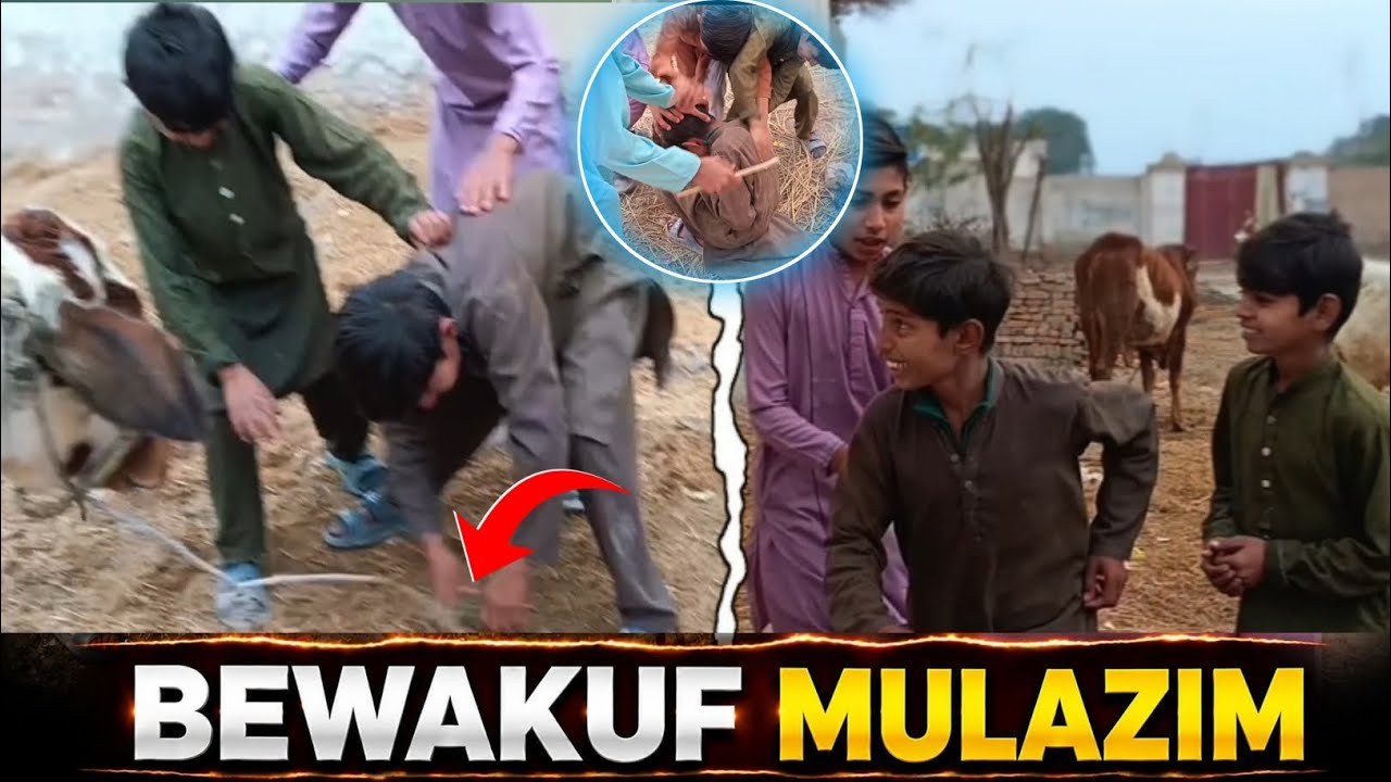 BEWAKUF MULAZIM 😂 | Funny Comedy Video 2026 | Desi Comedy | Hansi Nahi Rukegi 🤣 PagalTeam 