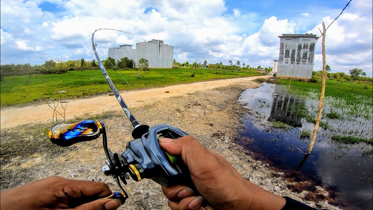 GOMEXUS TITANIUM GALAXY FOR SHIMANO CURADO DC strike ikan besar #gomexus  #shimanocuradodc