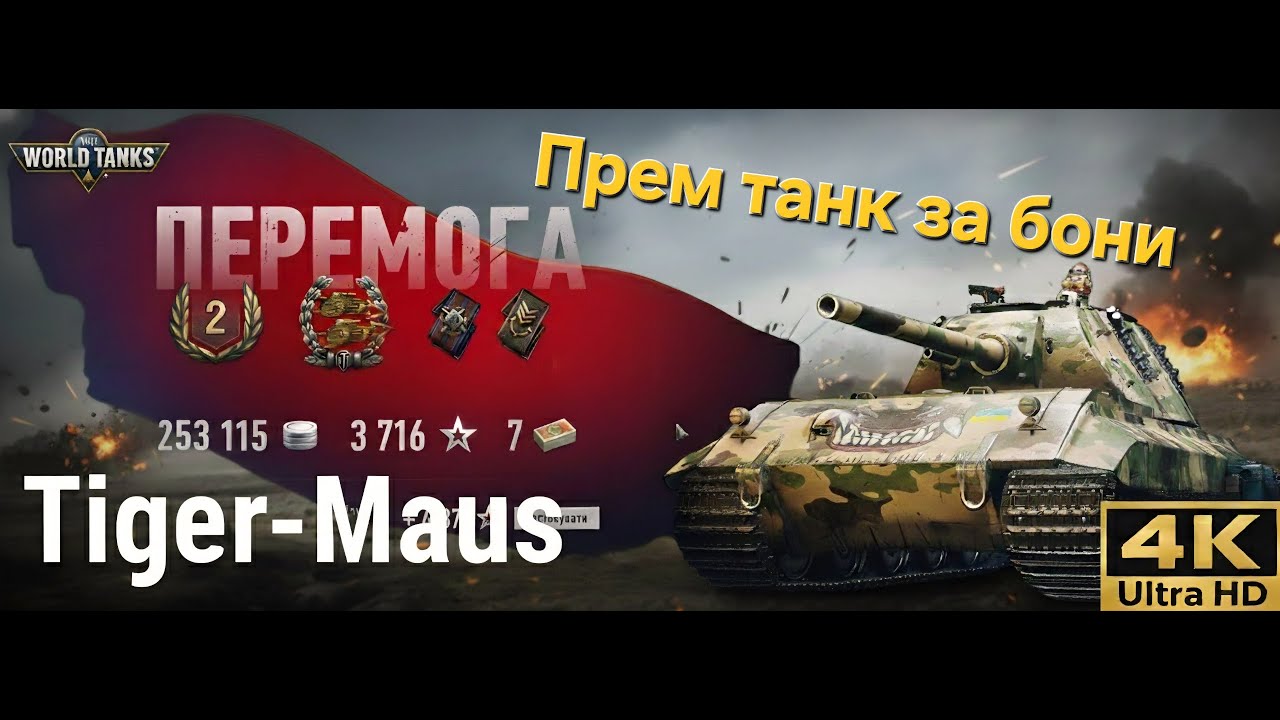Tiger-Maus/Damage-5k...?