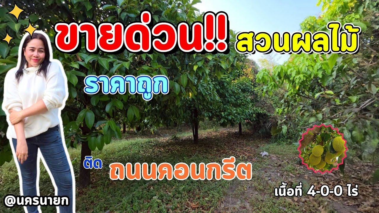 ✨️ขายทิ้งถูกๆ 🍊สวนผลไม้ อุดมสมบูรณ์มาก เจ้าของต้องการรีบใช้เงิน #ราคาถูกที่สุดในจังหวัด