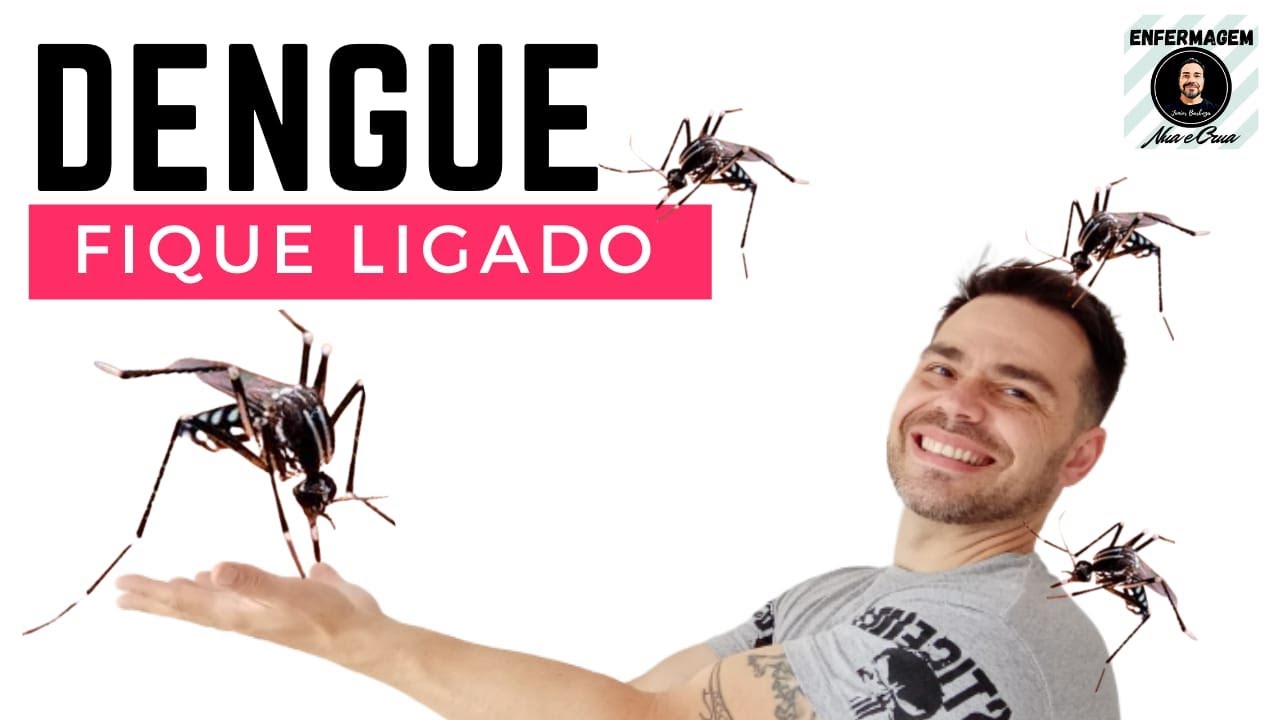 DENGUE -  fique por dentro de tudo! ENFERMAGEM NUA E CRUA