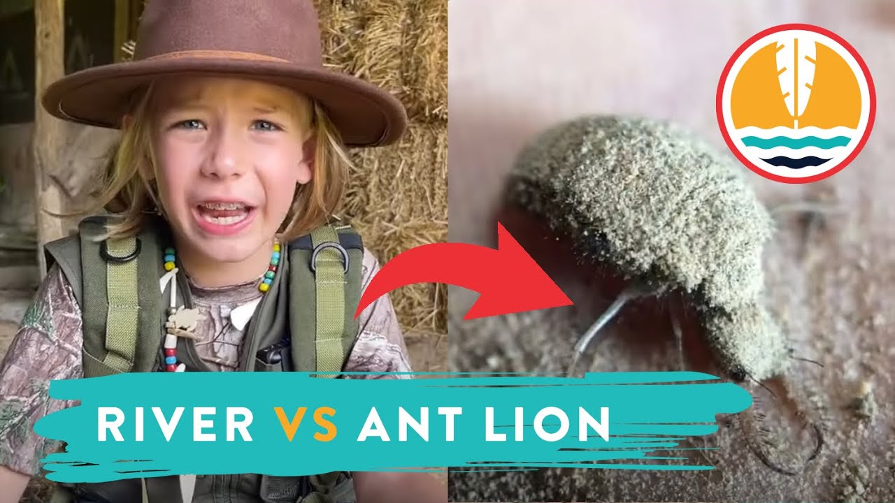 Adventures of Riverhood: Ant Lion | Outdoor Adventure for Kids!