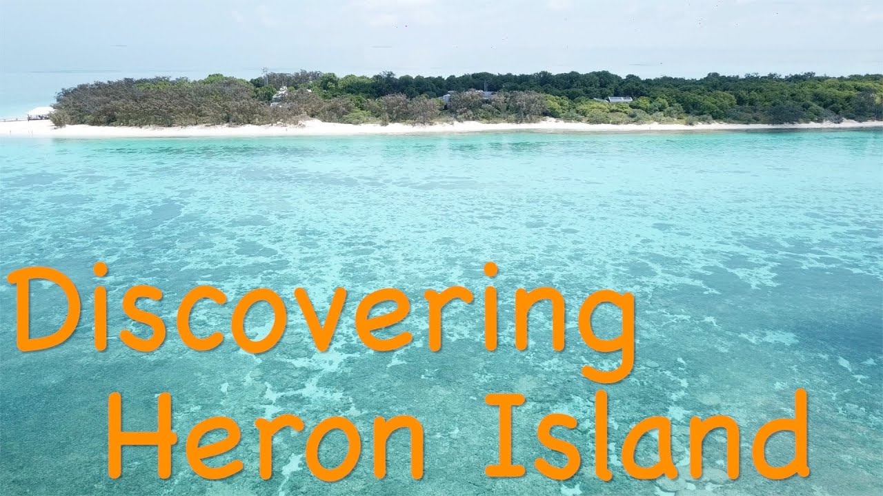 Night Sailing to Heron Island: An Unexpected Adventure