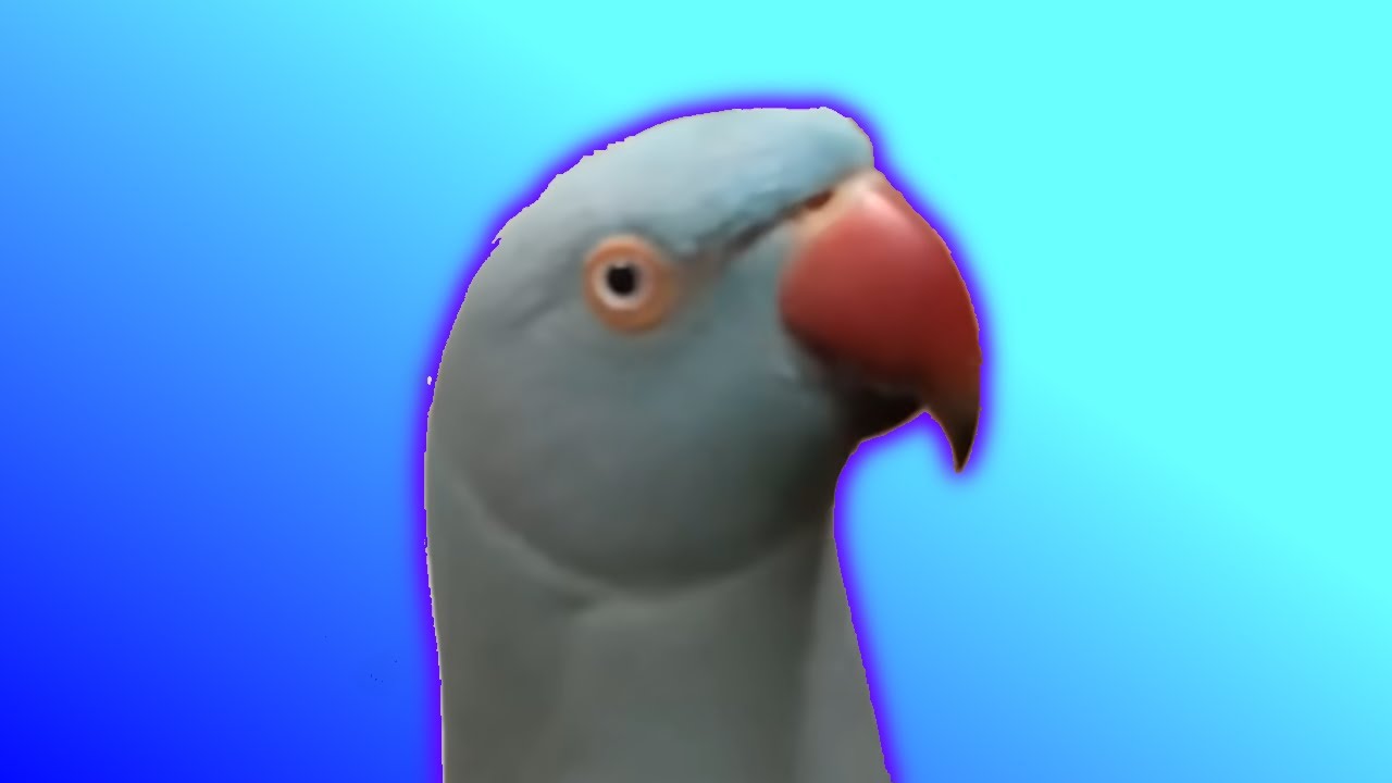 ИГРАЮ В ЛЮБУЮ ИГРУ