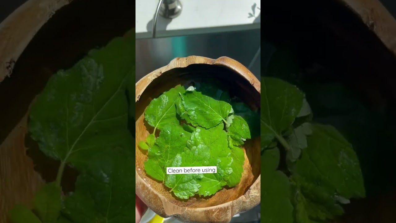 Fresh Lemon Balm Tea🫖 
