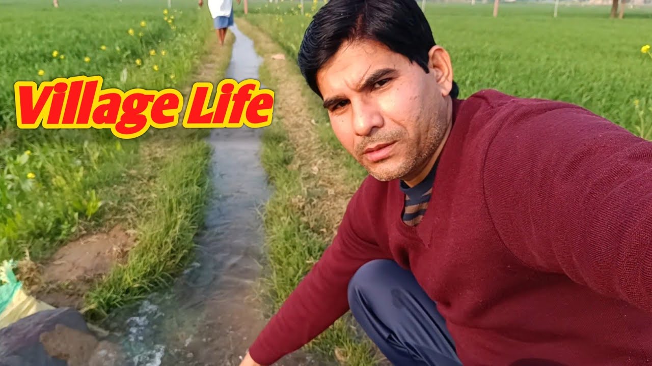गांव की असली जिंदगी | Village Life Vlogs | Desi Village Vlogs 🥰😍